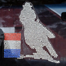 rhinestone car decal